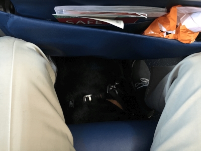 Jake traveling on the floor in an aisle seat of a regular row after our planned flight was cancelled and no bulkhead seat was available. Is Jake the best boy in the world, or what?